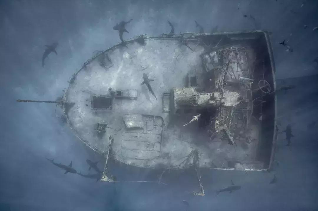 上半年大片,上半年大片推荐