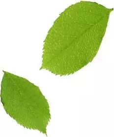 困扰好几年的痘痘终于好了,困扰多年痘痘终于好了