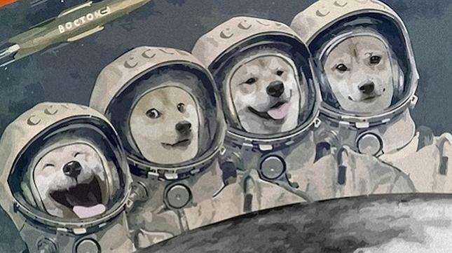 忘了*币特比**吧，狗币使你快落「doge脸」