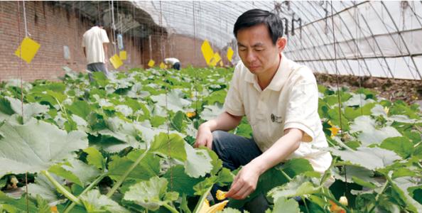 农业创业赚钱的十种运营模式,如何打造农业持续的盈利模式