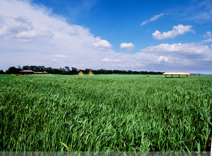 盘锦鼎翔旅游景区,辽宁盘锦旅游景区集锦
