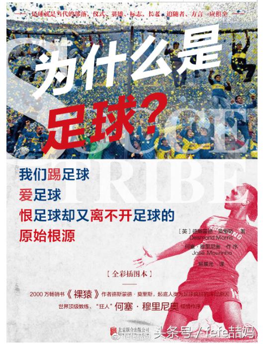 足球书籍世界杯,世界杯来了绘本