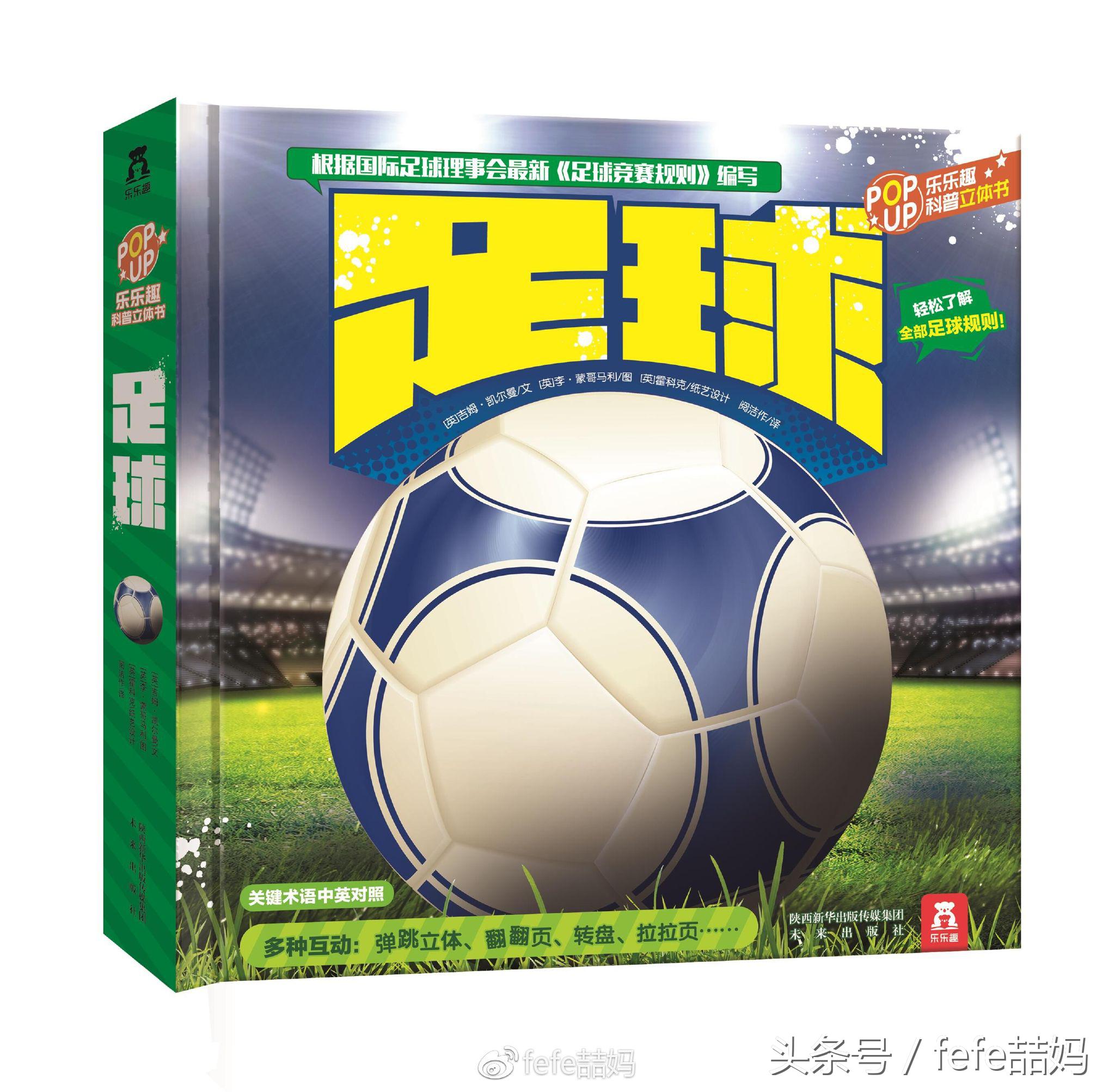 足球书籍世界杯,世界杯来了绘本