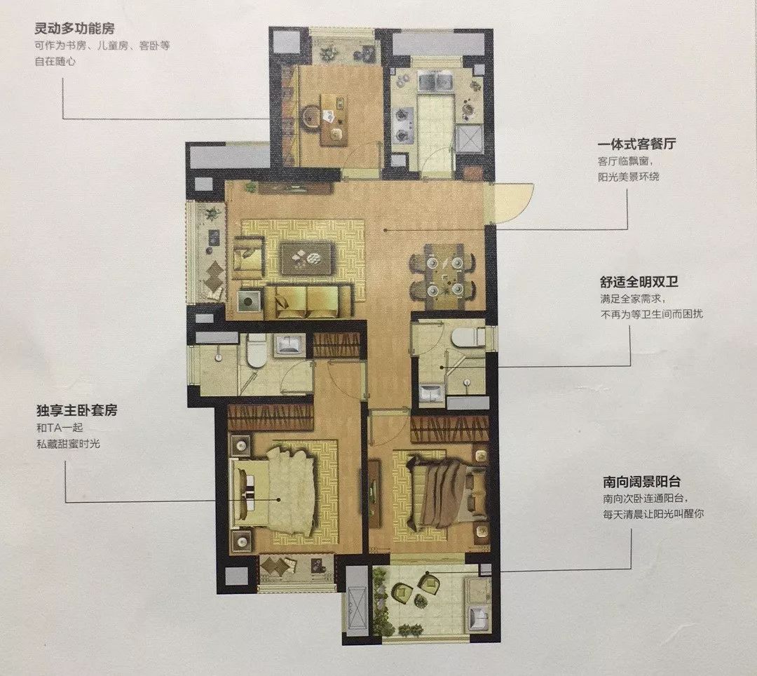 卢俊接受采访,卢俊的全部视频