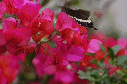 当初为了去远方而买的相机，如今躺在哪个角落吃尘？