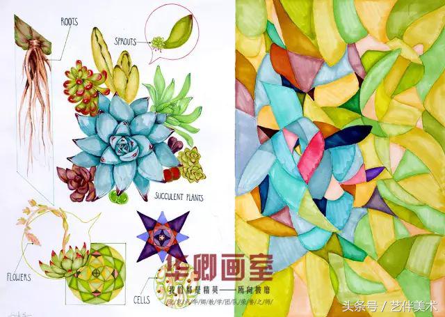 华卿画室北京高考集训多少钱,北京华卿画室优惠团购