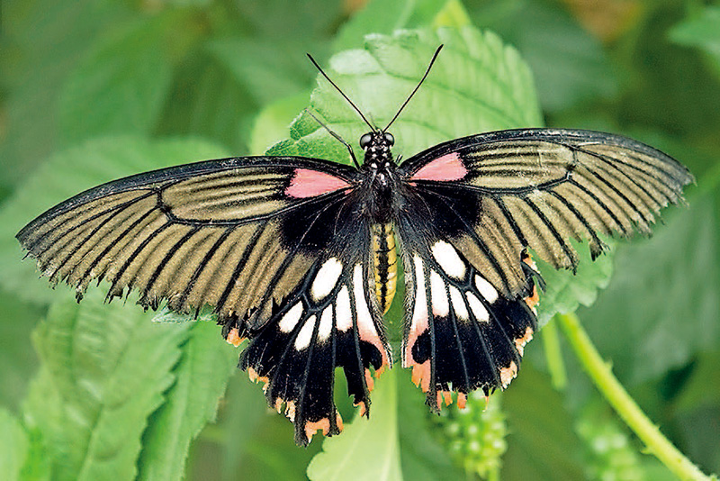 单反相机快速入门,单反相机入门购买