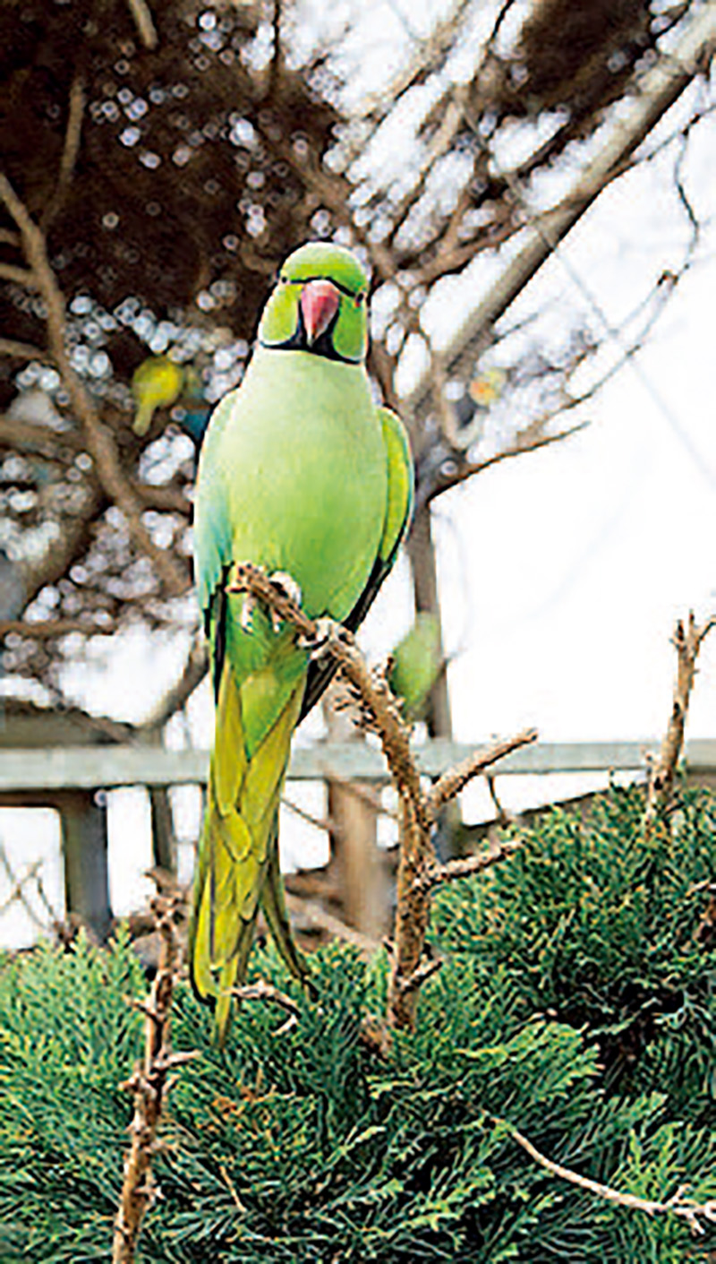 单反相机快速入门,单反相机入门购买