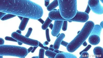 论定制｜益生菌是治疗小儿过敏性咳嗽的“良药”