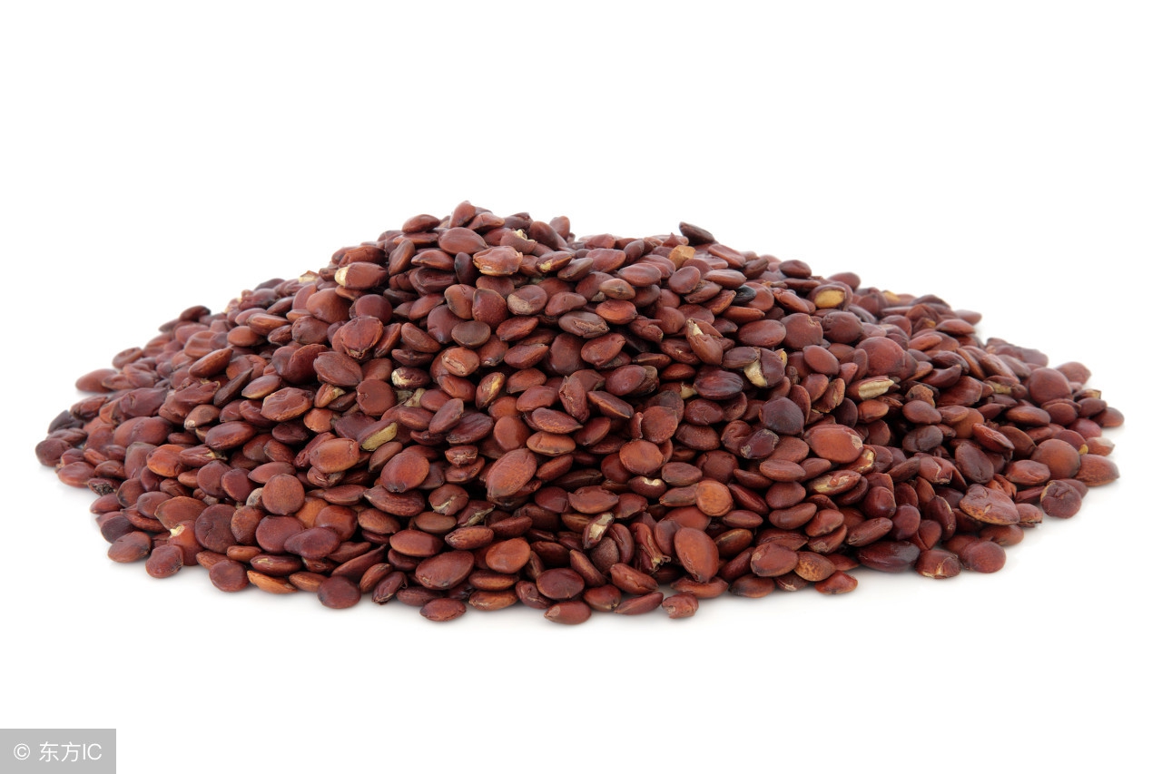 酸枣仁油的功效与作用及食用方法,中药酸枣仁的作用与功效