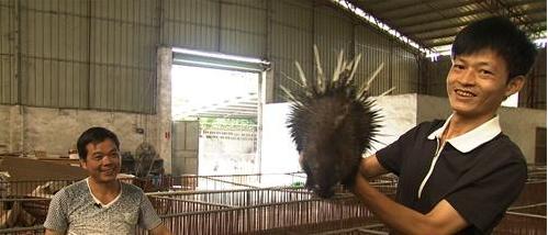 福建老板关掉建材生意,福建老板开车回农村