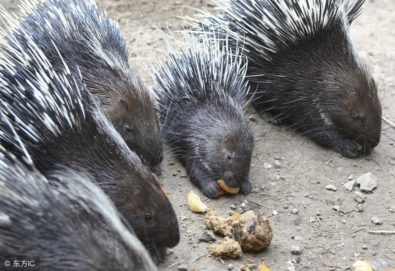 福建老板关掉建材生意,福建老板开车回农村