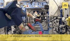 欧洲杯直播vr,vr直播世界杯