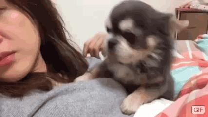 当男朋友很喜欢黏你,当你的男朋友很黏你时