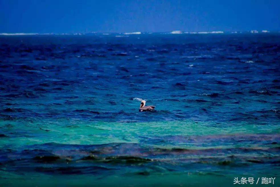 单次世界杯进球最多的国家,世界杯单场进球最多的国家