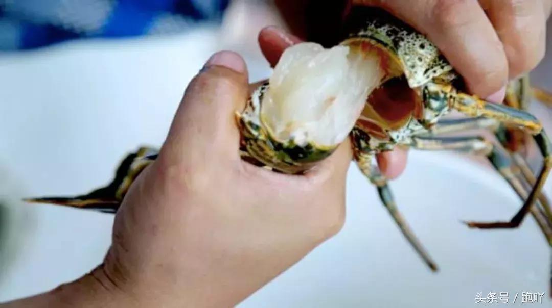 世界杯进球最多的国家是哪国,世界杯进球最多的国家是哪个国家