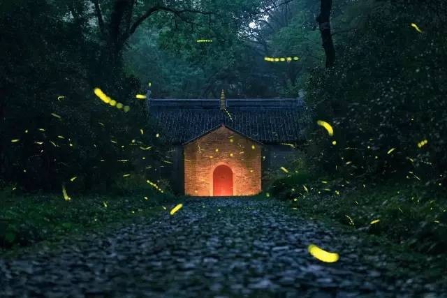 尼康d800搭配尼康24-120效果怎么样,尼康d800自身携带的拍摄风格