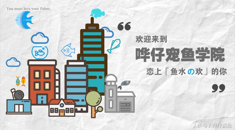 奇葩的养鱼法,如何养宠物鱼才是正确的方法