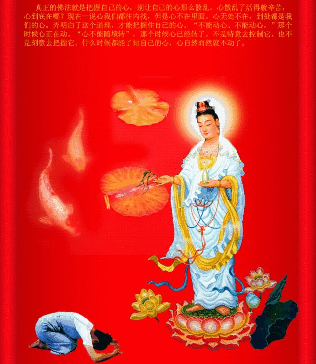 唯美观音菩萨动态壁纸,观音菩萨美照