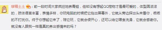 qq宠物停止运营热搜榜,qq宠物停止运营的那一刻