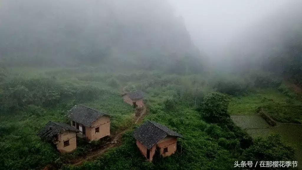 你知道香港人喝的水从哪里来的吗 (香港人喝的水都是来自哪里)