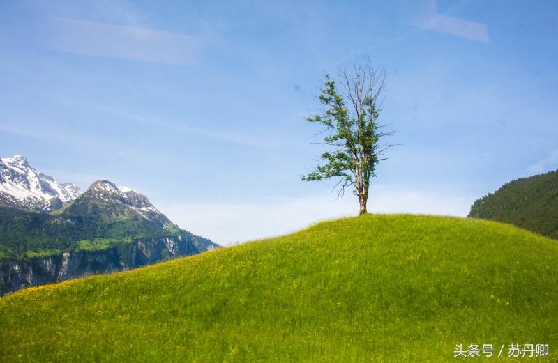 中国游客花100欧元坐一趟黄金列车，全程睡觉聊天谈奢侈品