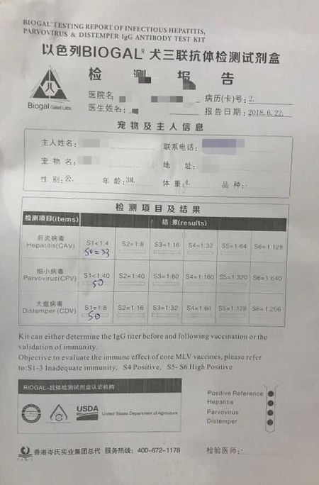 打完三针疫苗的拉布拉多,幼犬三针疫苗里面有没有细小疫苗