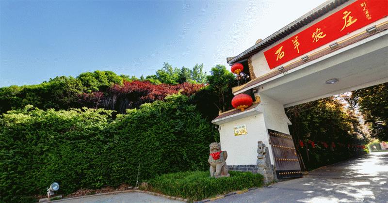 世界杯美食指南,世界杯吃喝推荐