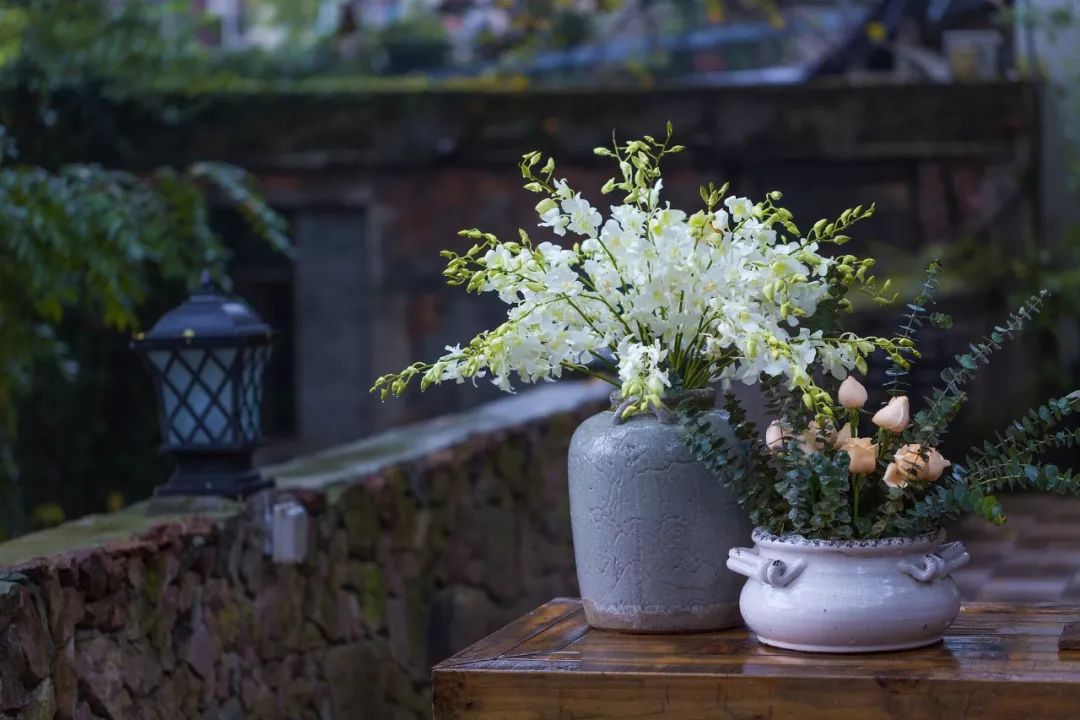 关于民国文化的作文,值得一看的民国小作文