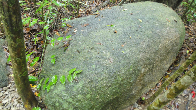 sanya天之涯，海之角我们来了