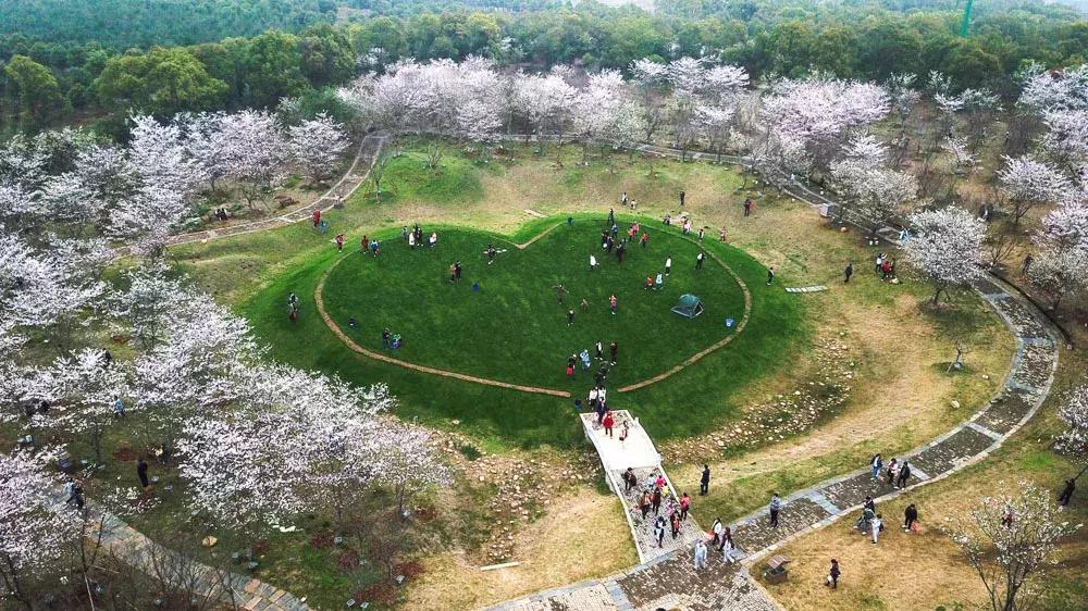 每日一字心得体会,每日一字心字