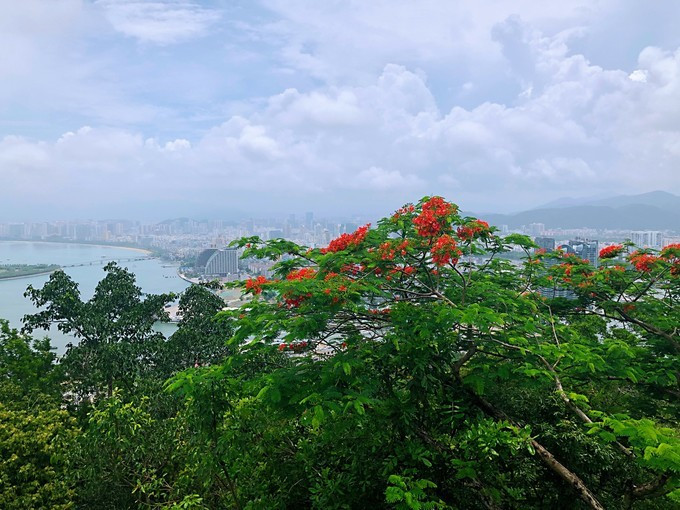带你到三亚感受不一样的美食美景,三亚之行怎能错过这些美食和美景