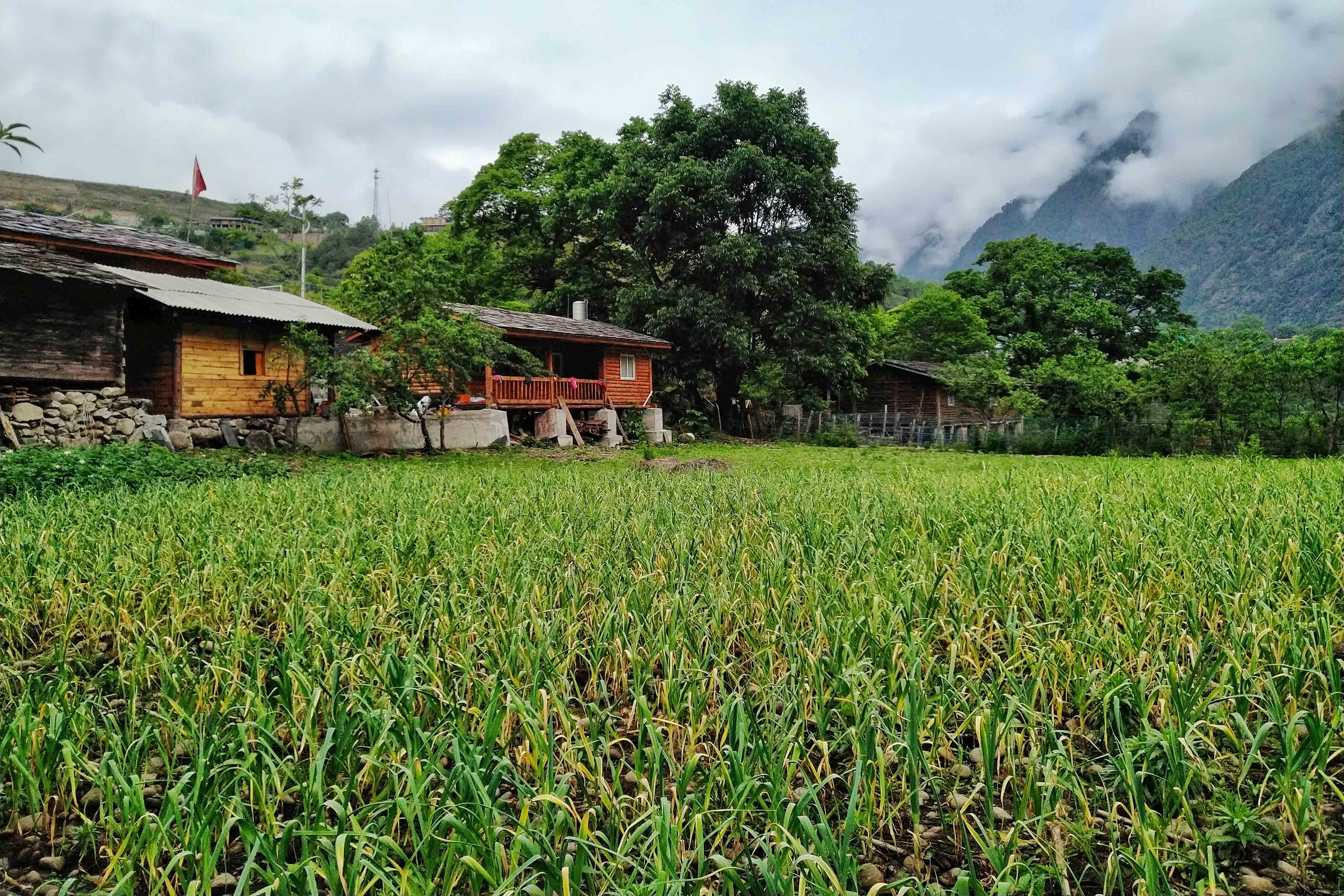 强迫症患者要花多少钱,强迫症治疗大概需要多少钱
