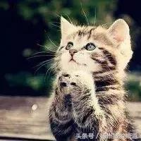 扬州市小升初的流程 (扬州小升初报名时间过了怎么办)