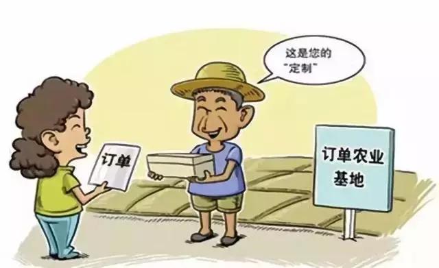 互联网农业种植有哪些步骤,互联网农业应用