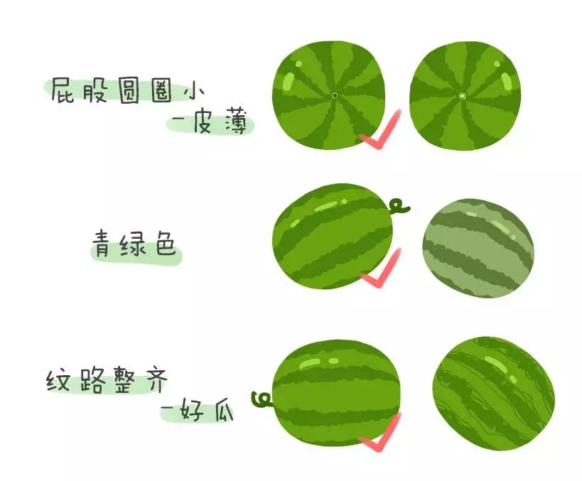 宝宝能吃的水果大全及做法,现在宝宝吃的当季水果有哪些