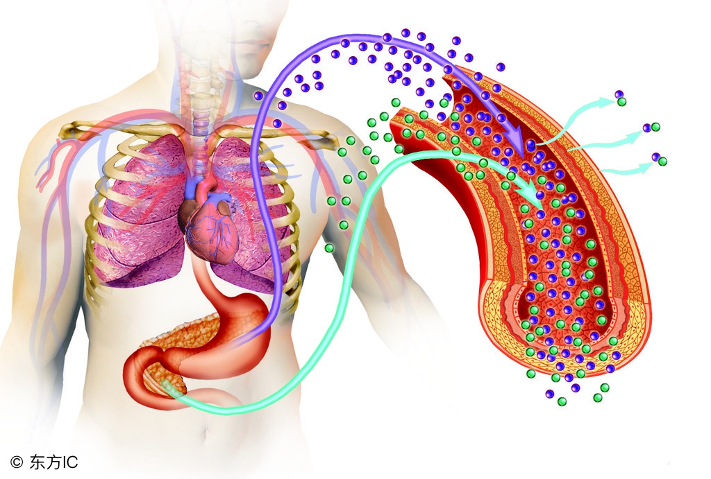 磺脲类降糖药都包括哪些,磺脲类口服降血糖药副作用