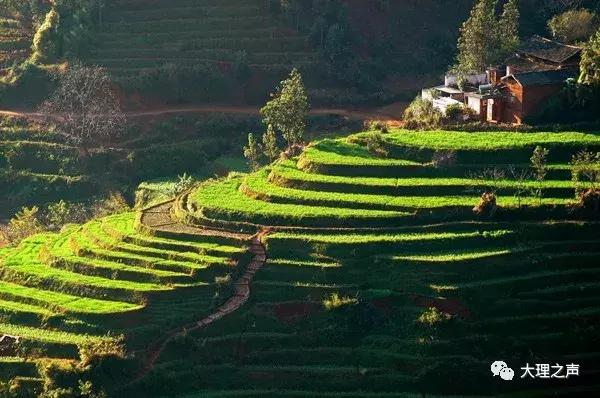 沧海桑田难为水,沧海桑田后半句