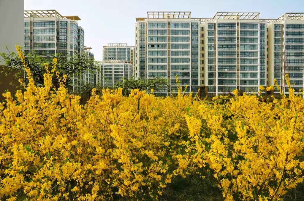 临沂南坊房价7月,临沂各区房价最新价格