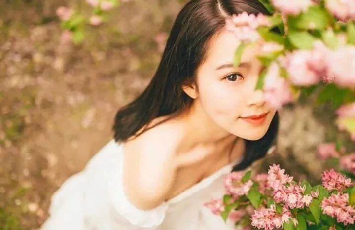 小说丁香花菩提树全文免费,小说丁香花结局