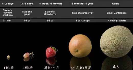 宝宝不爱喝水的8大妙招,宝宝不爱喝水一招搞定