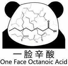 在沈阳药科大学，考试周是一种怎样的体验？