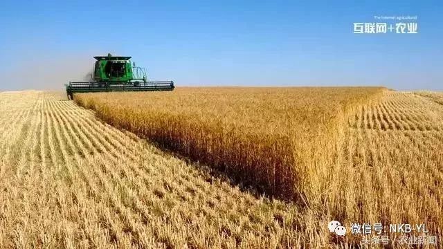 互联网农业应用,互联网农业的六大模式