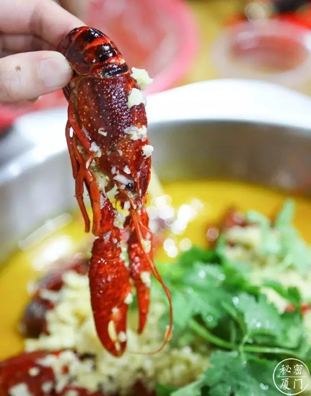 看世界杯除了喝啤酒还可以喝什么,看世界杯应该吞些什么吃的喝的