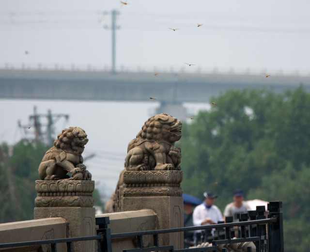 千里走单第一章,千里走单记第三章第八关