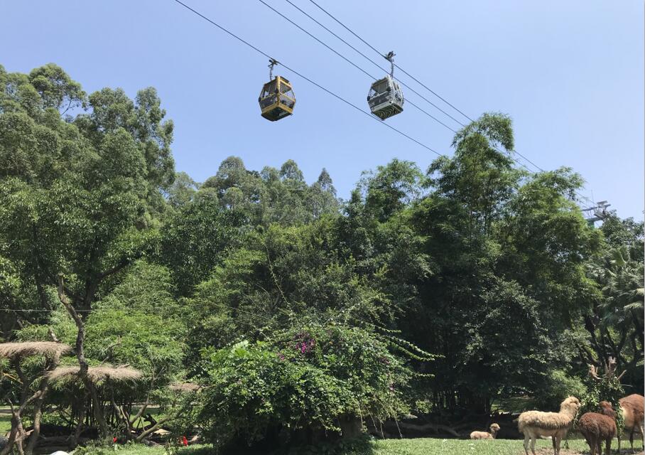 广州长隆野生动物世界旅游攻略,广州长隆野生动物王国攻略
