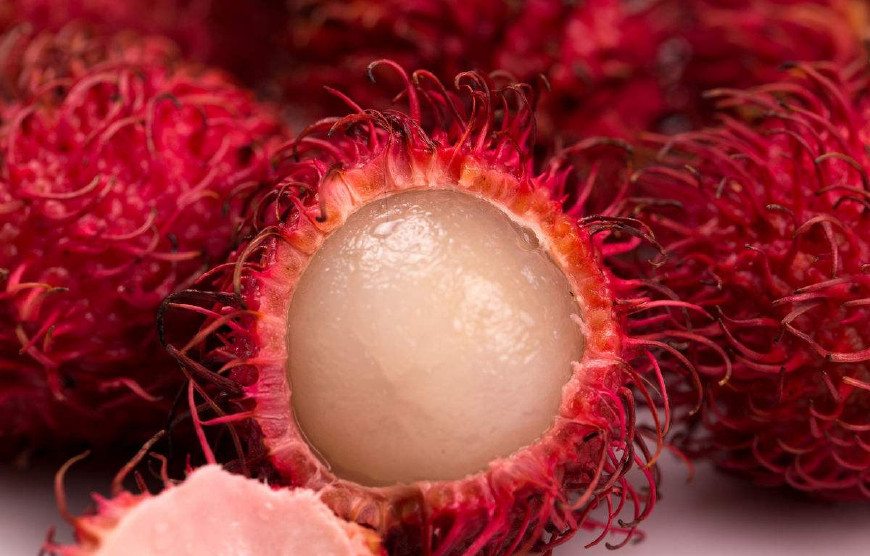 红毛丹营养价值及功效,红毛丹果营养和功效与作用