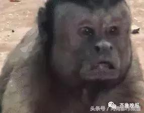 内马尔玩花式足球被揍,内马尔花式足球被揍