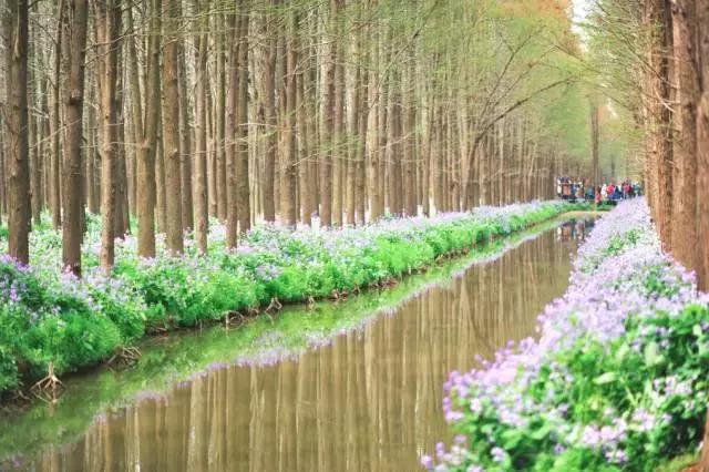 这竟然是农村！中国最美乡村Top10，有你家乡吗？