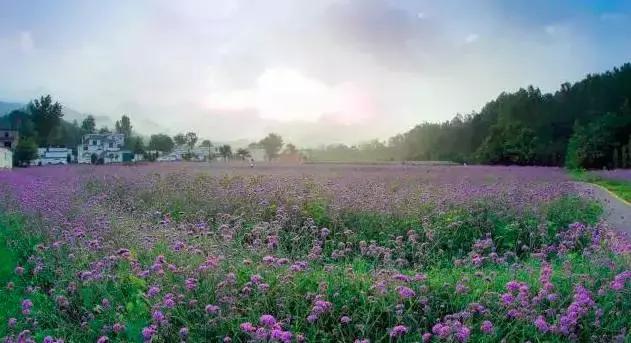 这竟然是农村！中国最美乡村Top10，有你家乡吗？